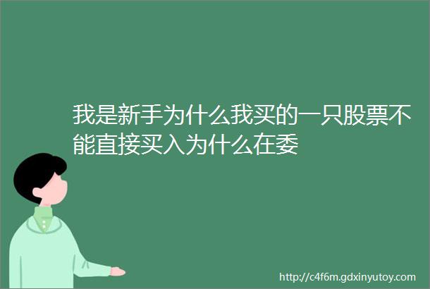 我是新手为什么我买的一只股票不能直接买入为什么在委