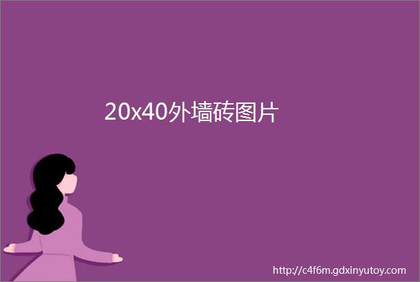 20x40外墙砖图片