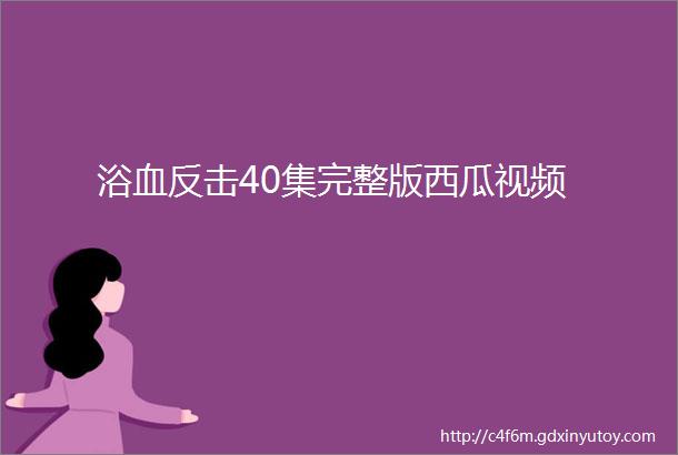 浴血反击40集完整版西瓜视频