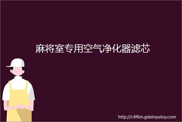 麻将室专用空气净化器滤芯